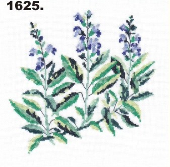 1625