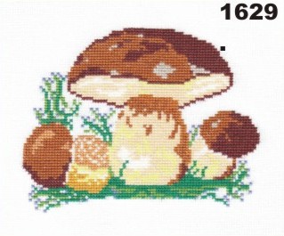 1629
