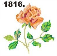 1816