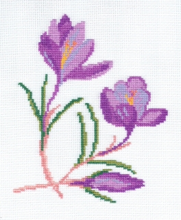1161 krokus
