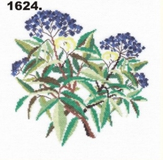 1624