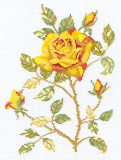 182