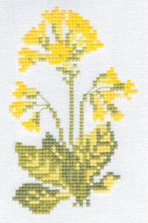 251