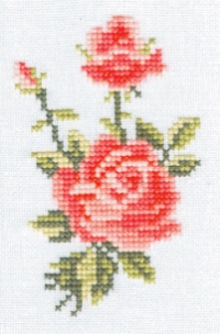 252