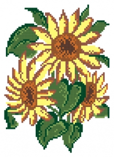 480
