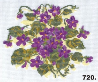 720 fialky